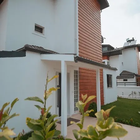 Villa Fethiye'De Muestakil Havuzlu 4 Yatak Odali Muestakil Villa Olive *